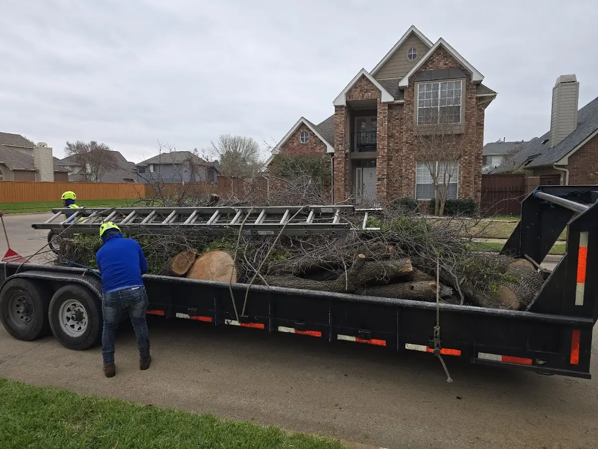 Expert Tree Fertilization with proper safety equipment in Steele City